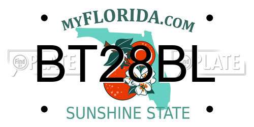BT28BL Florida License Plate