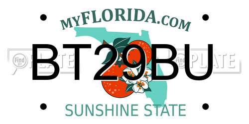 BT29BU Florida License Plate
