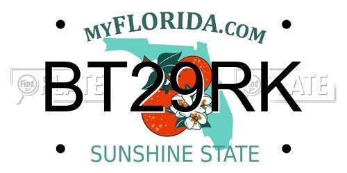 BT29RK Florida License Plate