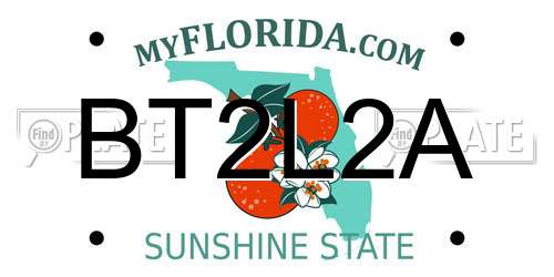 BT2L2A Florida License Plate