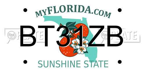 BT31ZB Florida License Plate