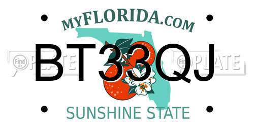 BT33QJ Florida License Plate