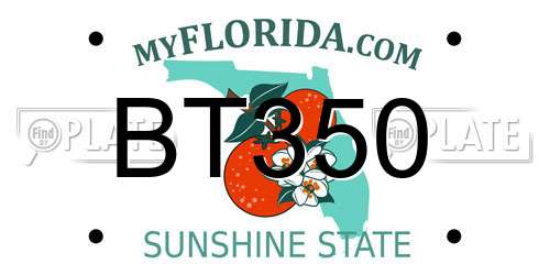 BT350 Florida License Plate