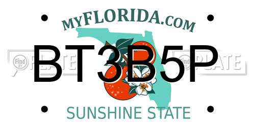 BT3B5P Florida License Plate