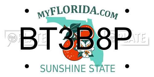 BT3B8P Florida License Plate