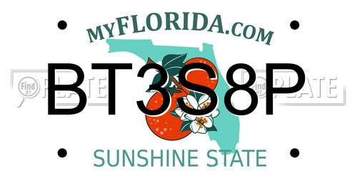 BT3S8P Florida License Plate
