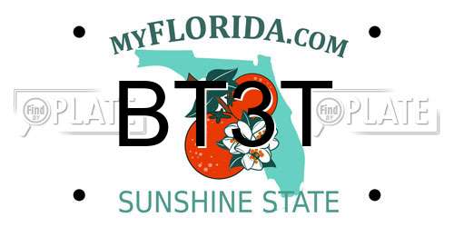 BT3T Florida License Plate