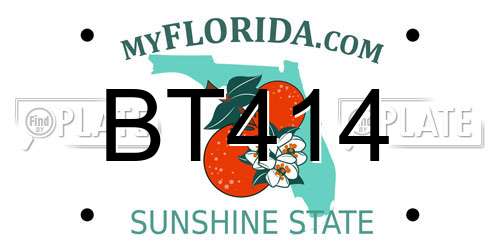 BT414 Florida License Plate