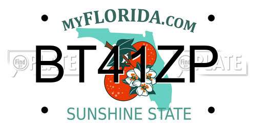 BT41ZP Florida License Plate