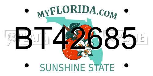 BT42685 Florida License Plate