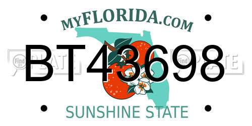 BT43698 Florida License Plate