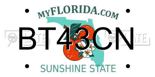 BT43CN Florida License Plate