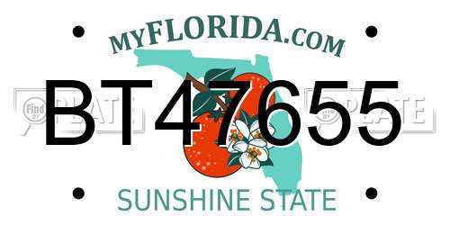 BT47655 Florida License Plate
