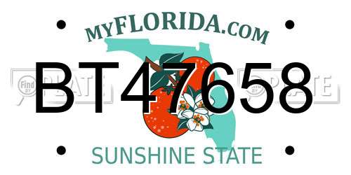 BT47658 Florida License Plate