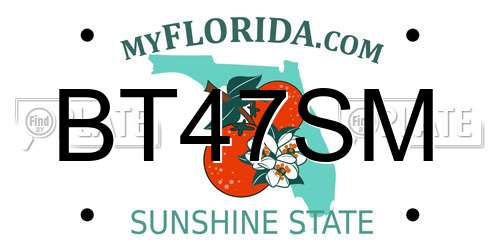 BT47SM Florida License Plate