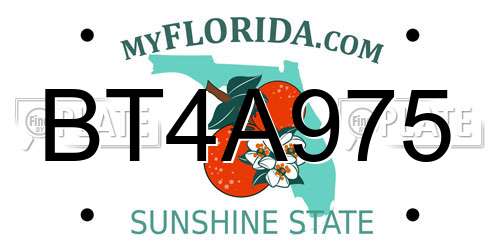 BT4A975 Florida License Plate