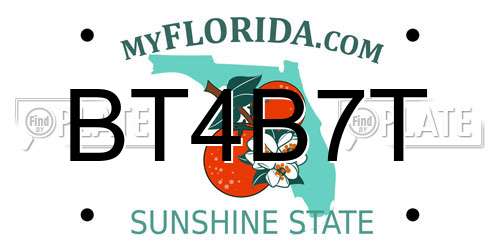 BT4B7T Florida License Plate