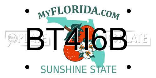 BT4I6B Florida License Plate