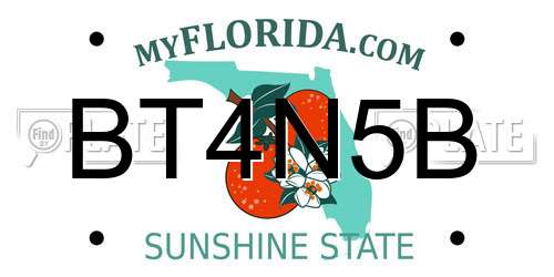BT4N5B Florida License Plate
