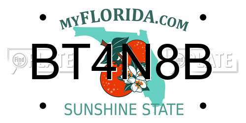 BT4N8B Florida License Plate