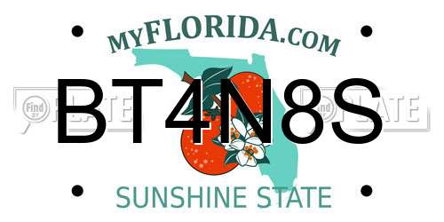 BT4N8S Florida License Plate