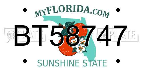 BT58747 Florida License Plate