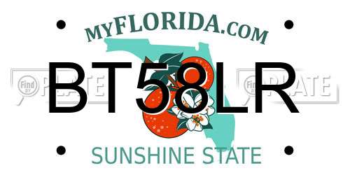 BT58LR Florida License Plate