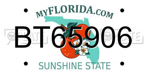 BT65906 Florida License Plate