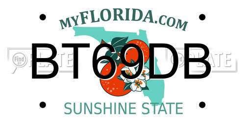 BT69DB Florida License Plate