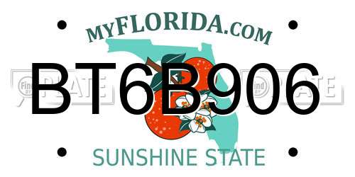 BT6B906 Florida License Plate