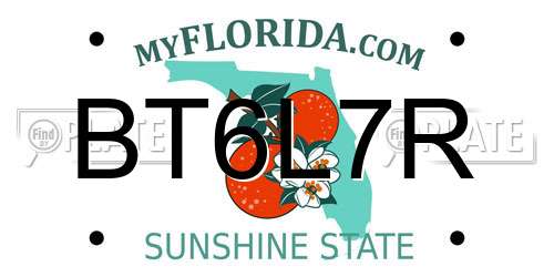 BT6L7R Florida License Plate