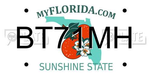 BT71MH Florida License Plate