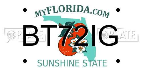 BT72IG Florida License Plate