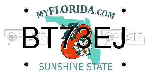 BT73EJ Florida License Plate