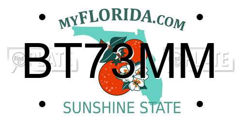 BT73MM Florida License Plate
