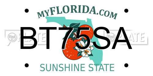 BT75SA Florida License Plate