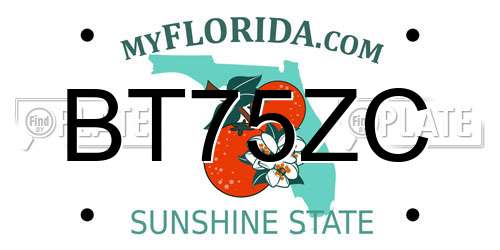 BT75ZC Florida License Plate