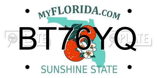 BT76YQ Florida License Plate