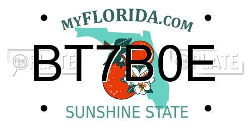 BT7B0E Florida License Plate