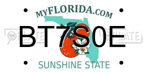 BT7S0E Florida License Plate