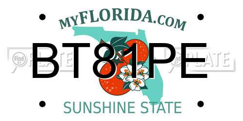 BT81PE Florida License Plate
