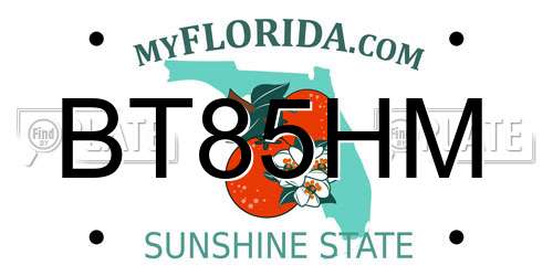 BT85HM Florida License Plate