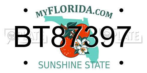 BT87397 Florida License Plate