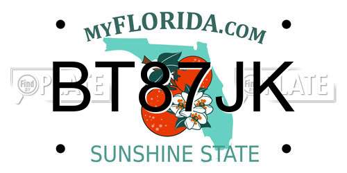 BT87JK Florida License Plate