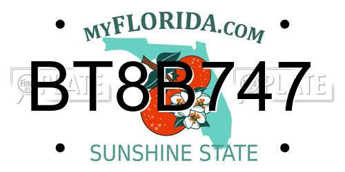 BT8B747 Florida License Plate