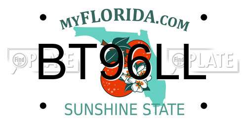 BT96LL Florida License Plate