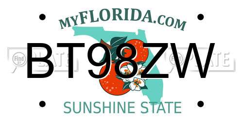 BT98ZW Florida License Plate