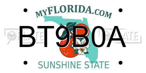 BT9B0A Florida License Plate