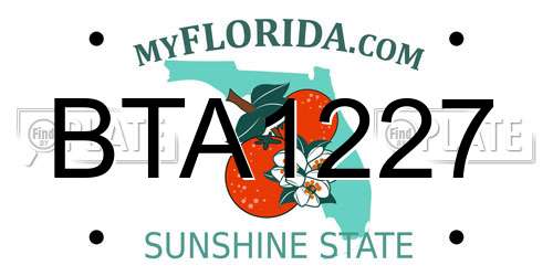 BTA1227 Florida License Plate