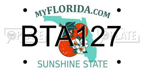 BTA127 Florida License Plate